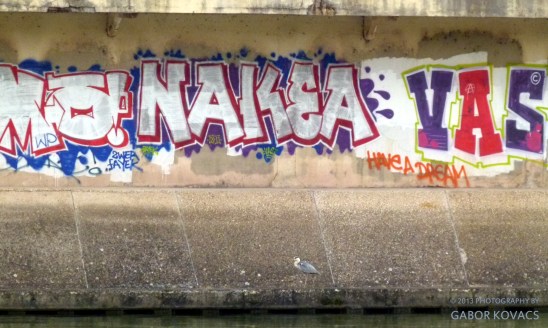 graffiti (with heron)