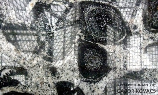 orbicular granite © 2014 PHOTOGRAPHY BY GABOR KOVACS