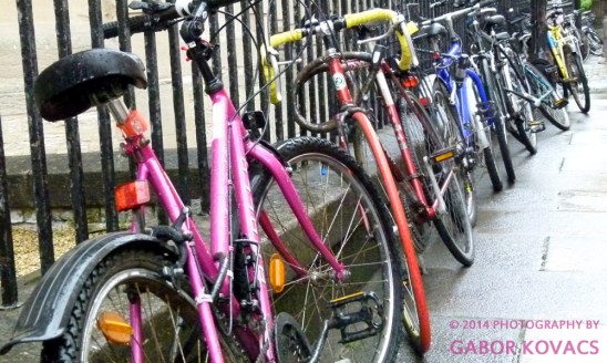 bicycles © 2014 PHOTOGRAPHY BY GABOR KOVACS
