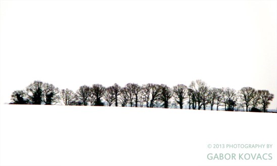 across a snowy field © 2013 PHOTOGRAPHY BY GABOR KOVACS