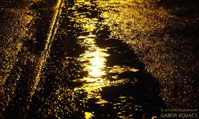 puddle by lamplight © 2015 PHOTOGRAPHY BY GABOR KOVACS