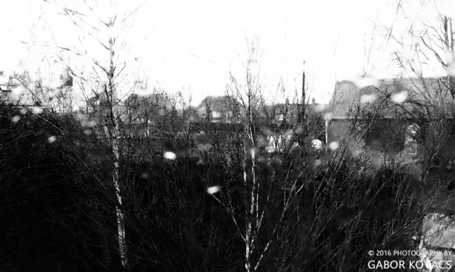 OLYMPUS OMD-EM10 f6.3 1/60 sec ISO 1250 14mm