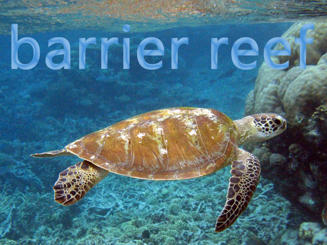 barrier reef