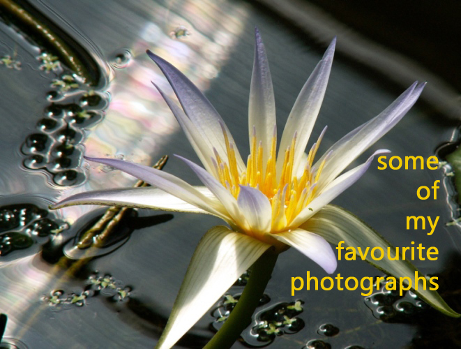 some of my favourite&nbsp;photos