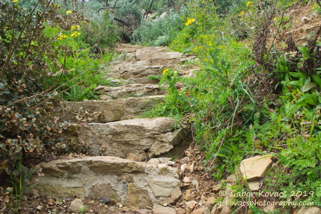 coastal walk, Provence&nbsp;(2)