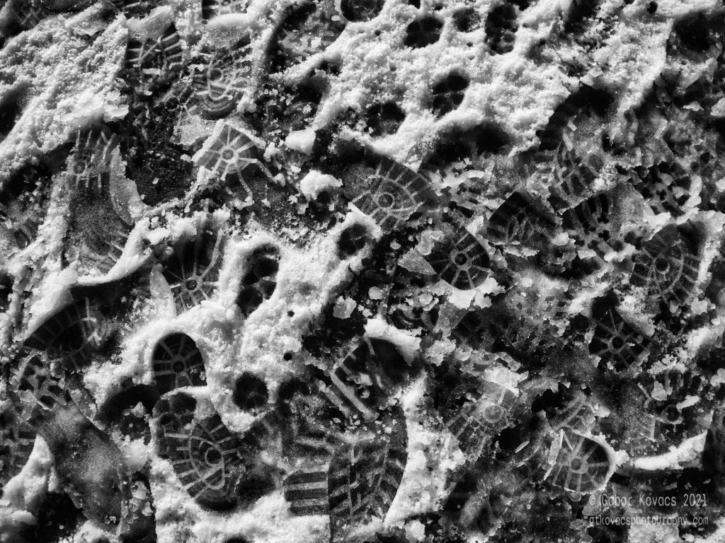a walk in the melting snow (black and&nbsp;white)