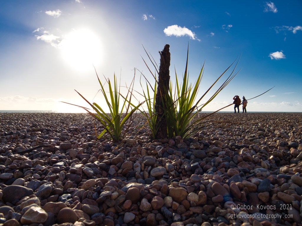 on Brighton Beach