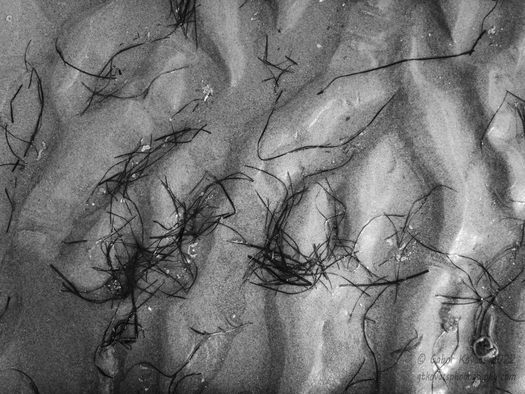 On the beach&nbsp;(4)