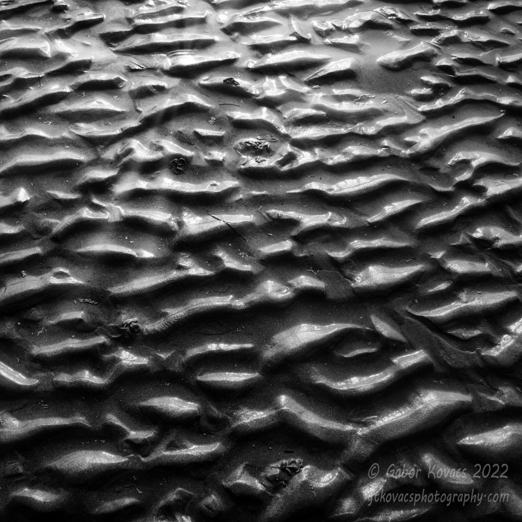 on the beach&nbsp;(5)