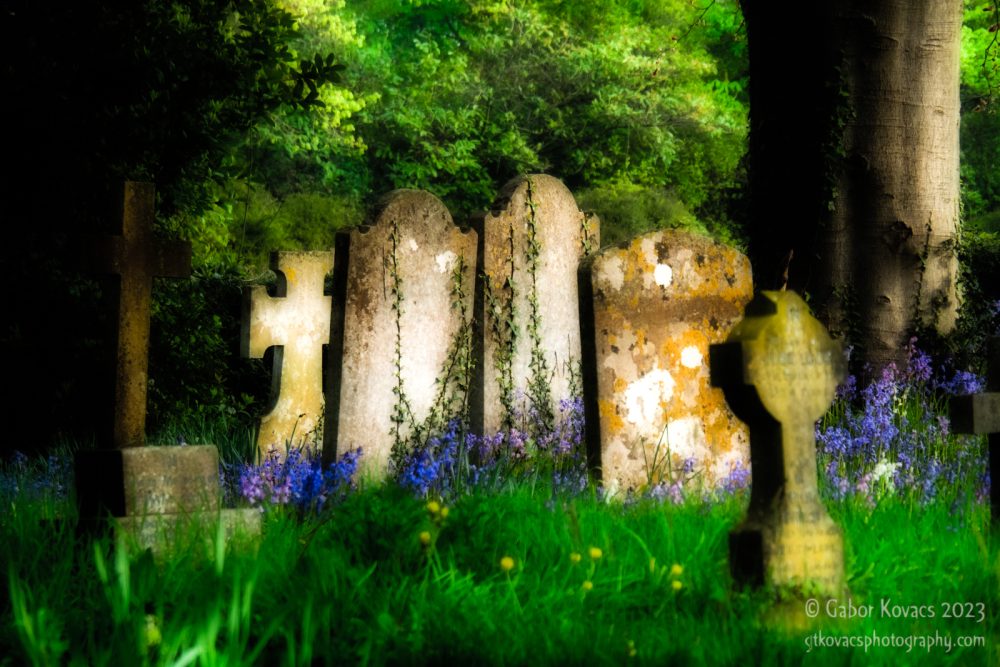 Dreamscape – week&nbsp;17