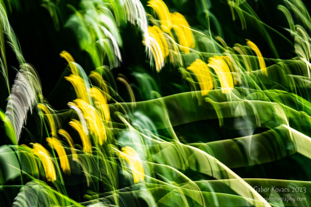 Panning – week&nbsp;23