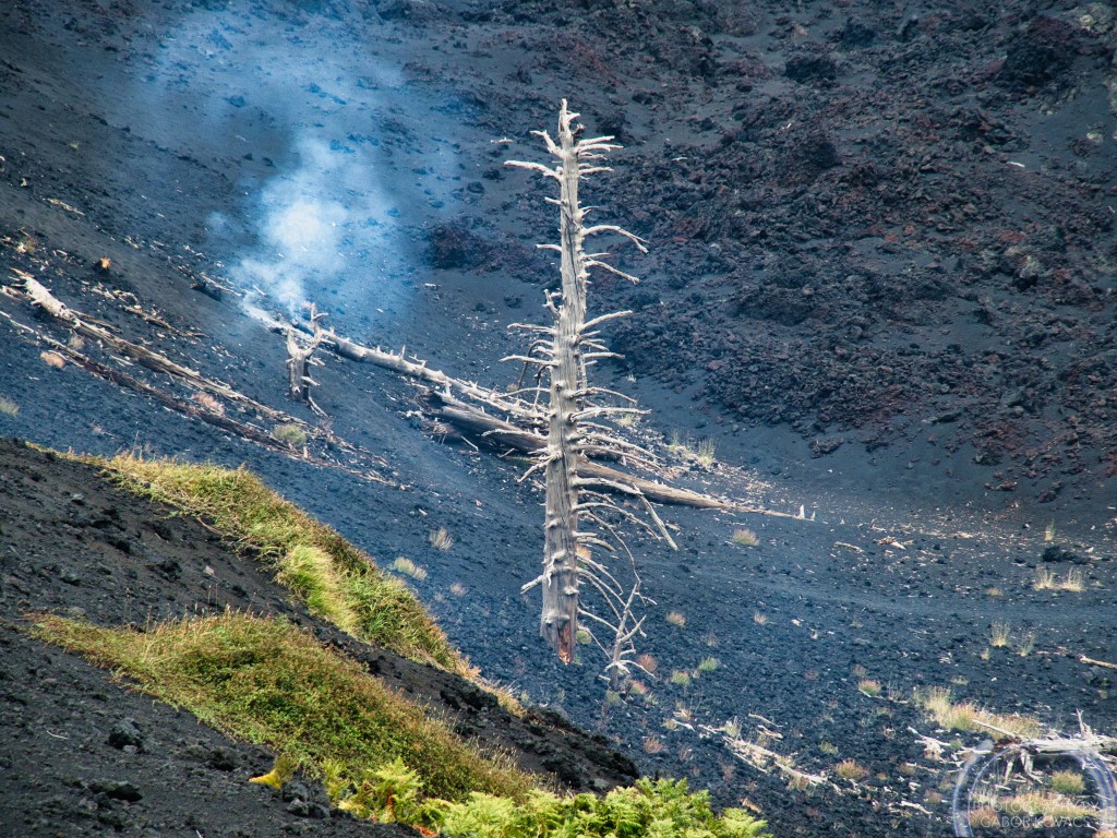 A day on&nbsp;Etna
