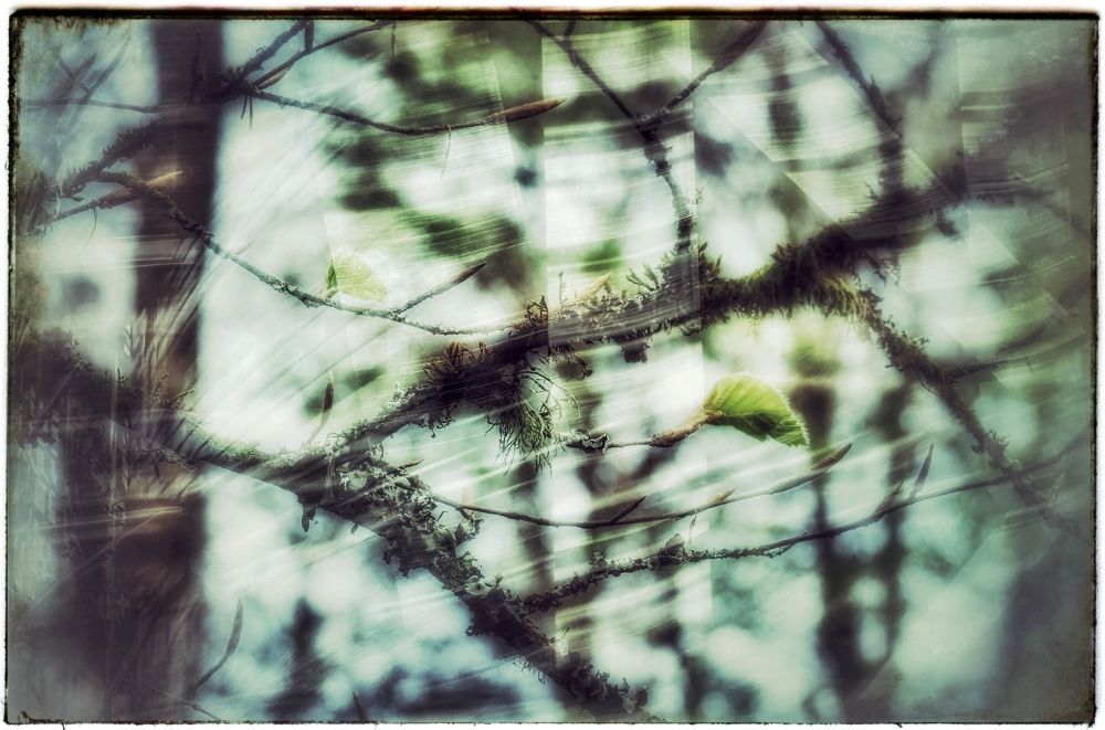 Double exposure experiments with&nbsp;Snapseed