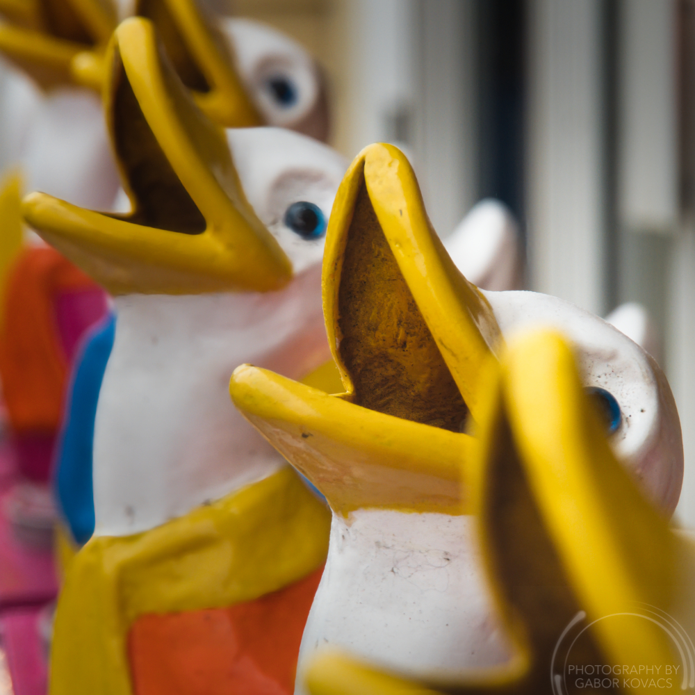 Getting my Ducks in a&nbsp;row