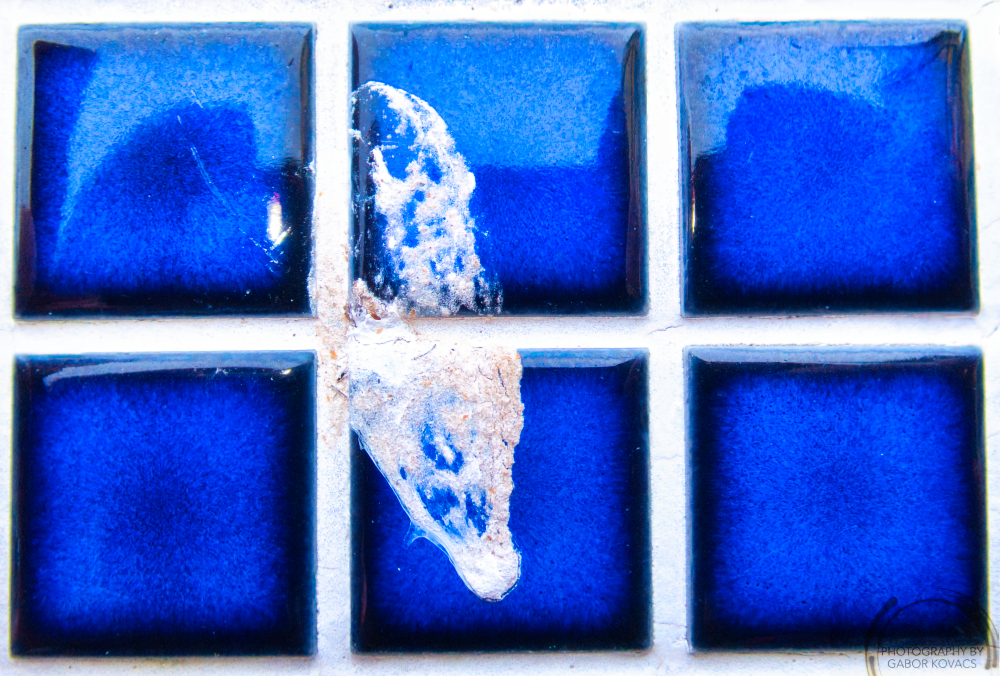 close up shots –&nbsp;Portsmouth