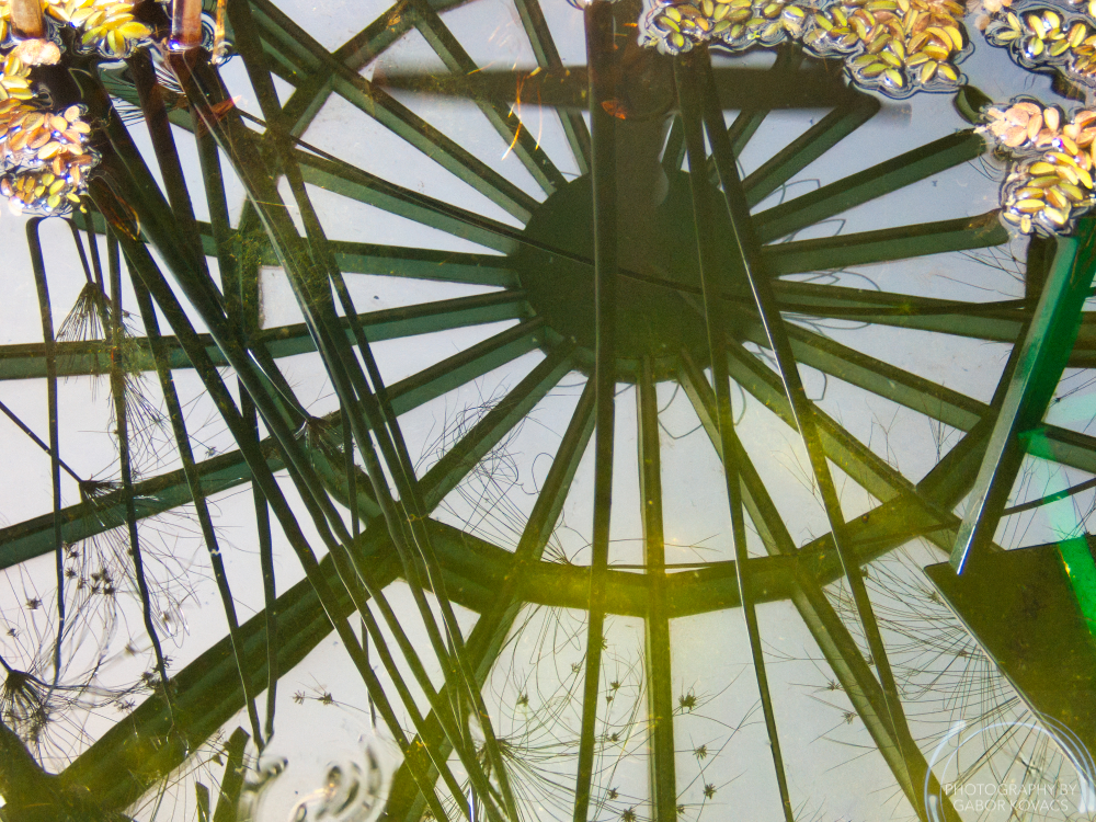 glasshouse reflection