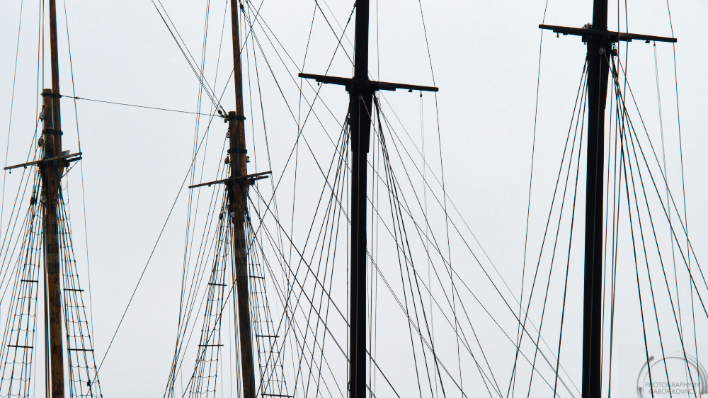 Rigging